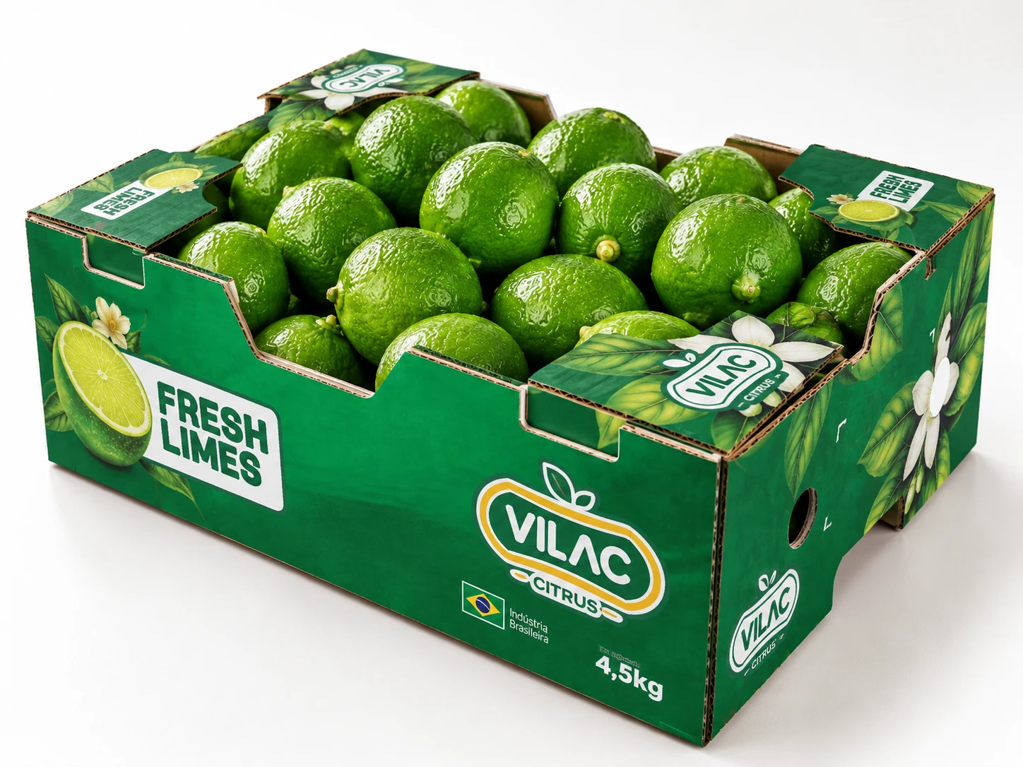 Caixa Vilac Citrus de 4,5 kg com limões Tahiti